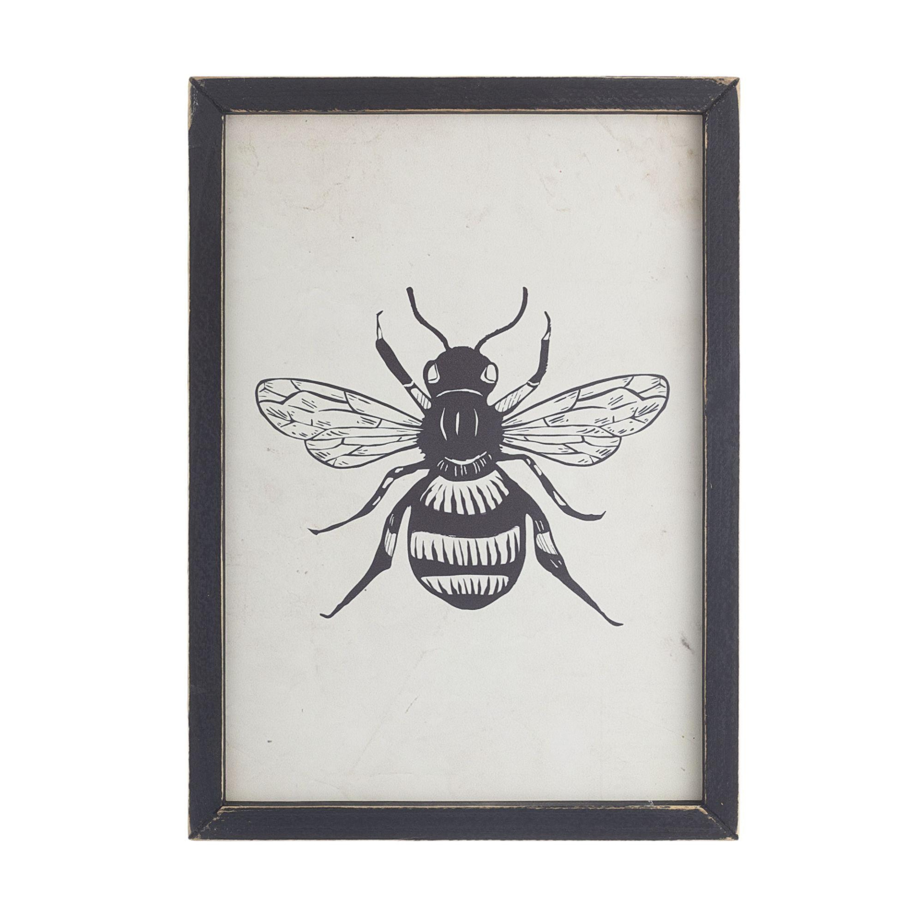 TOMAS STERN 81010 - TOMAS STERN None None