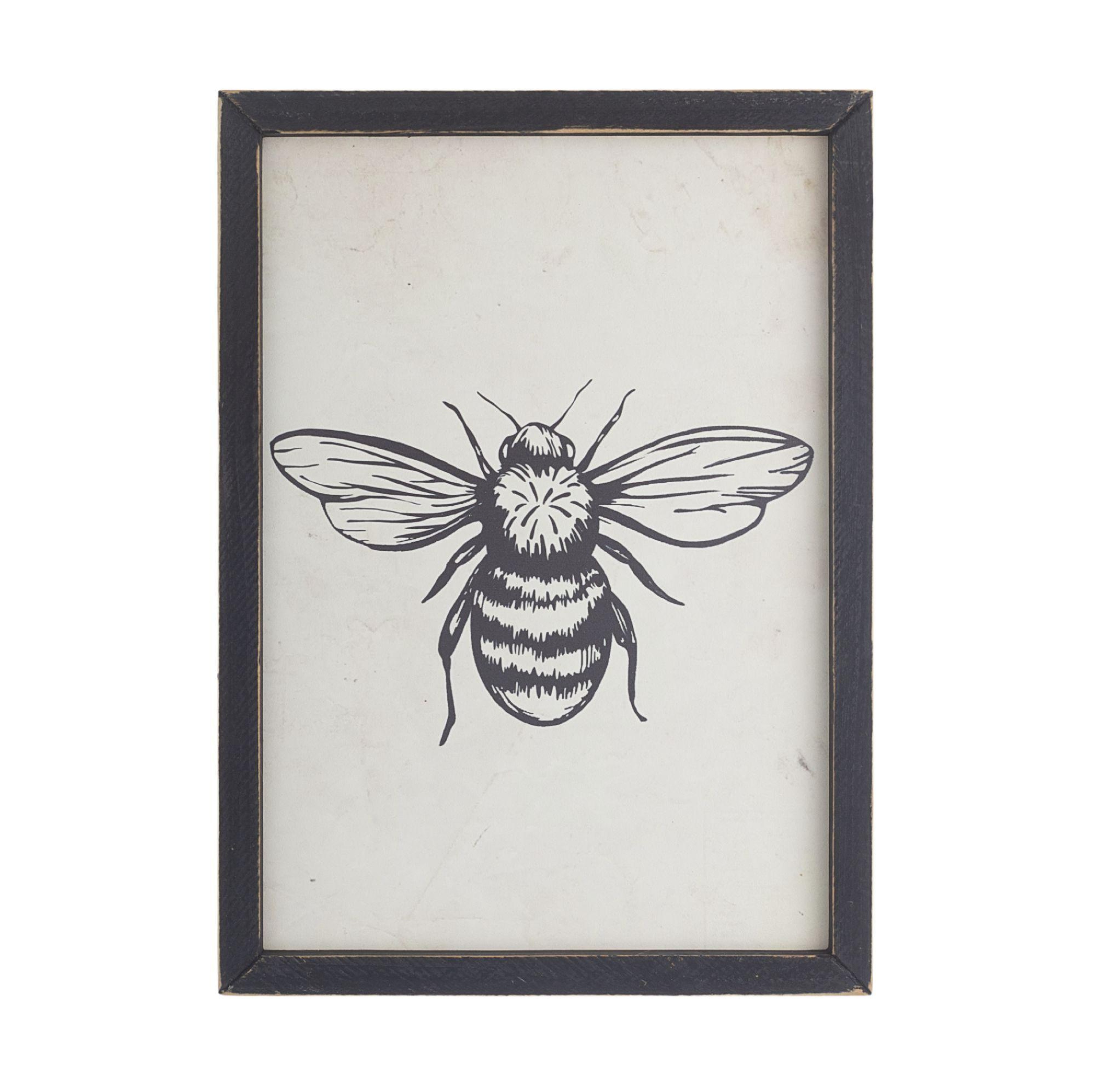 TOMAS STERN 81011 - TOMAS STERN None None