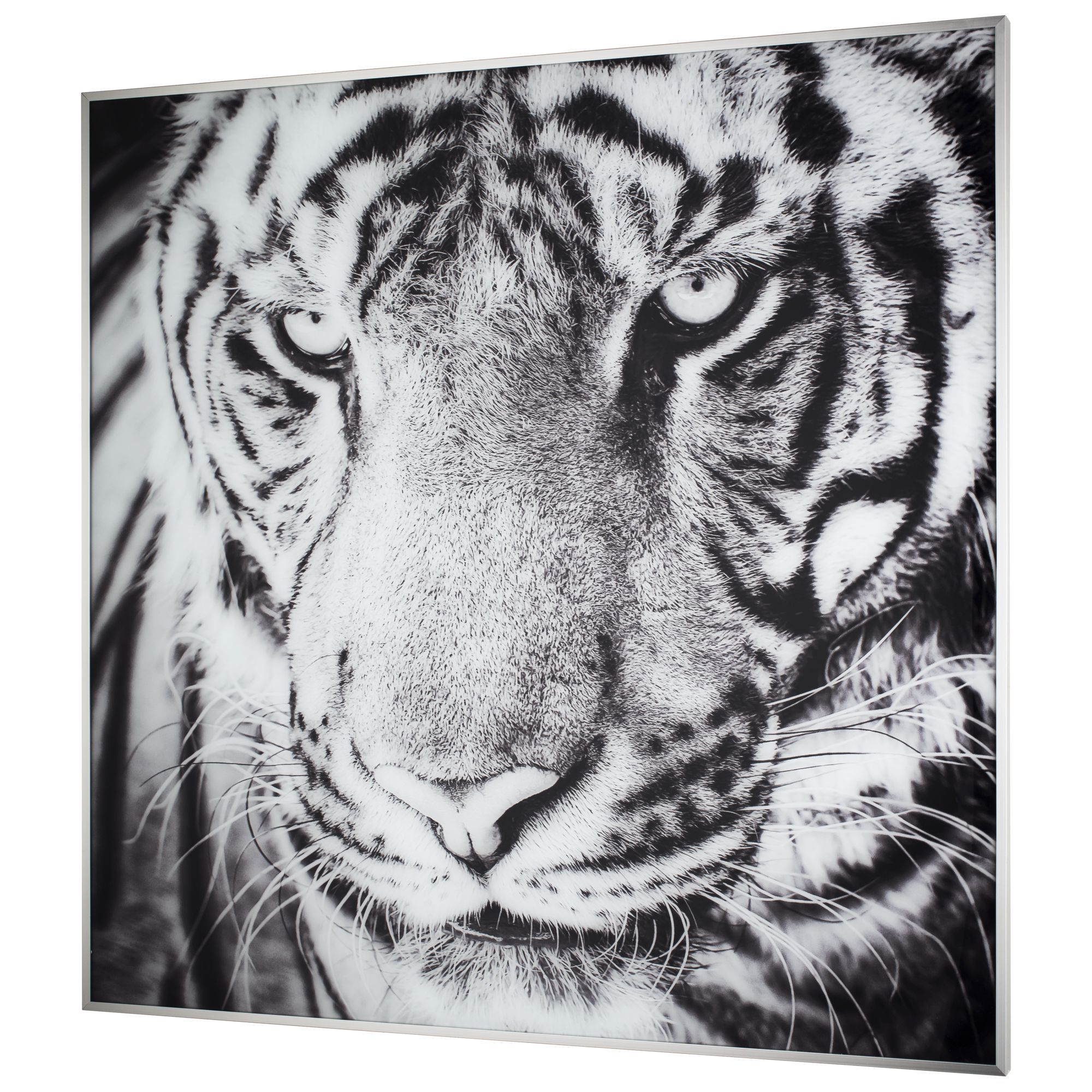 TOMAS STERN 87020 - TOMAS STERN None None