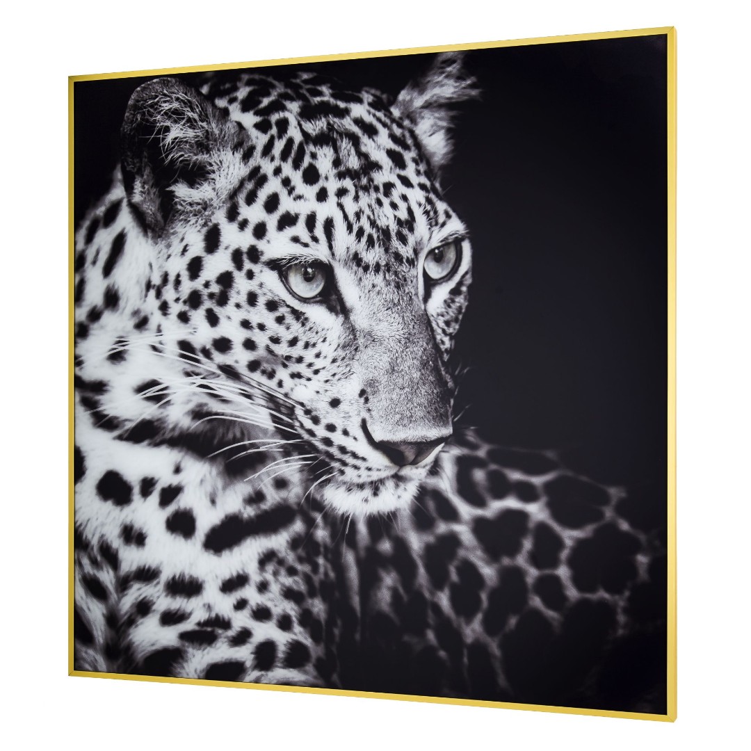 TOMAS STERN 87021 - TOMAS STERN None None