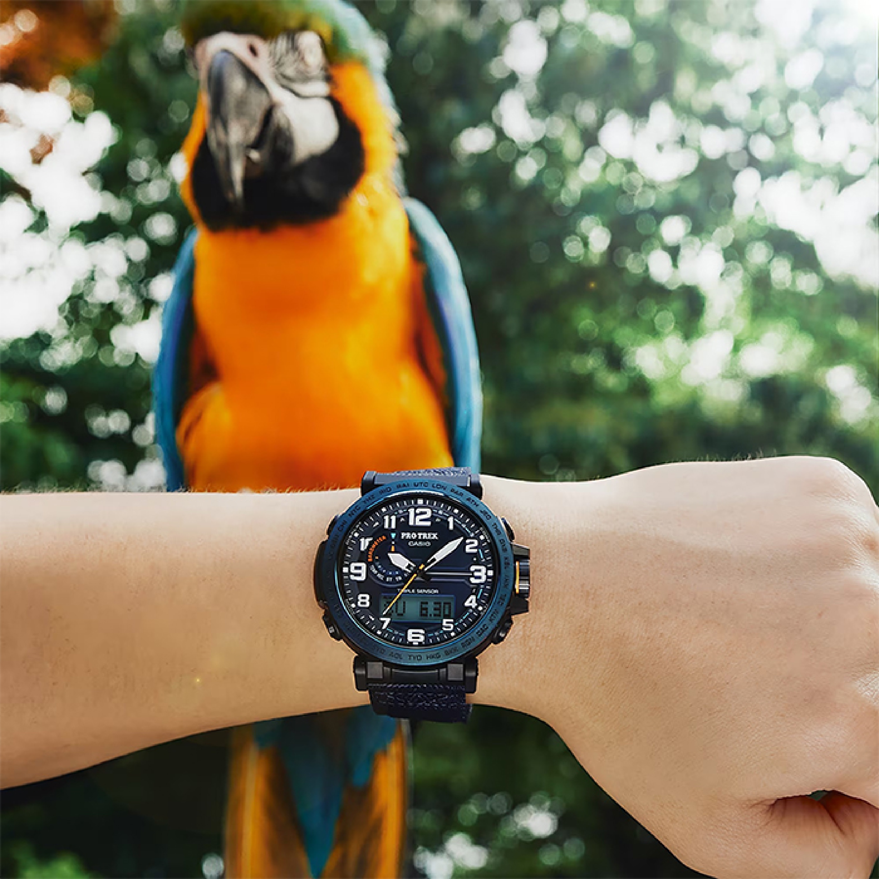 CASIO    PRO TREK PRG-601YB-2 - фото 4