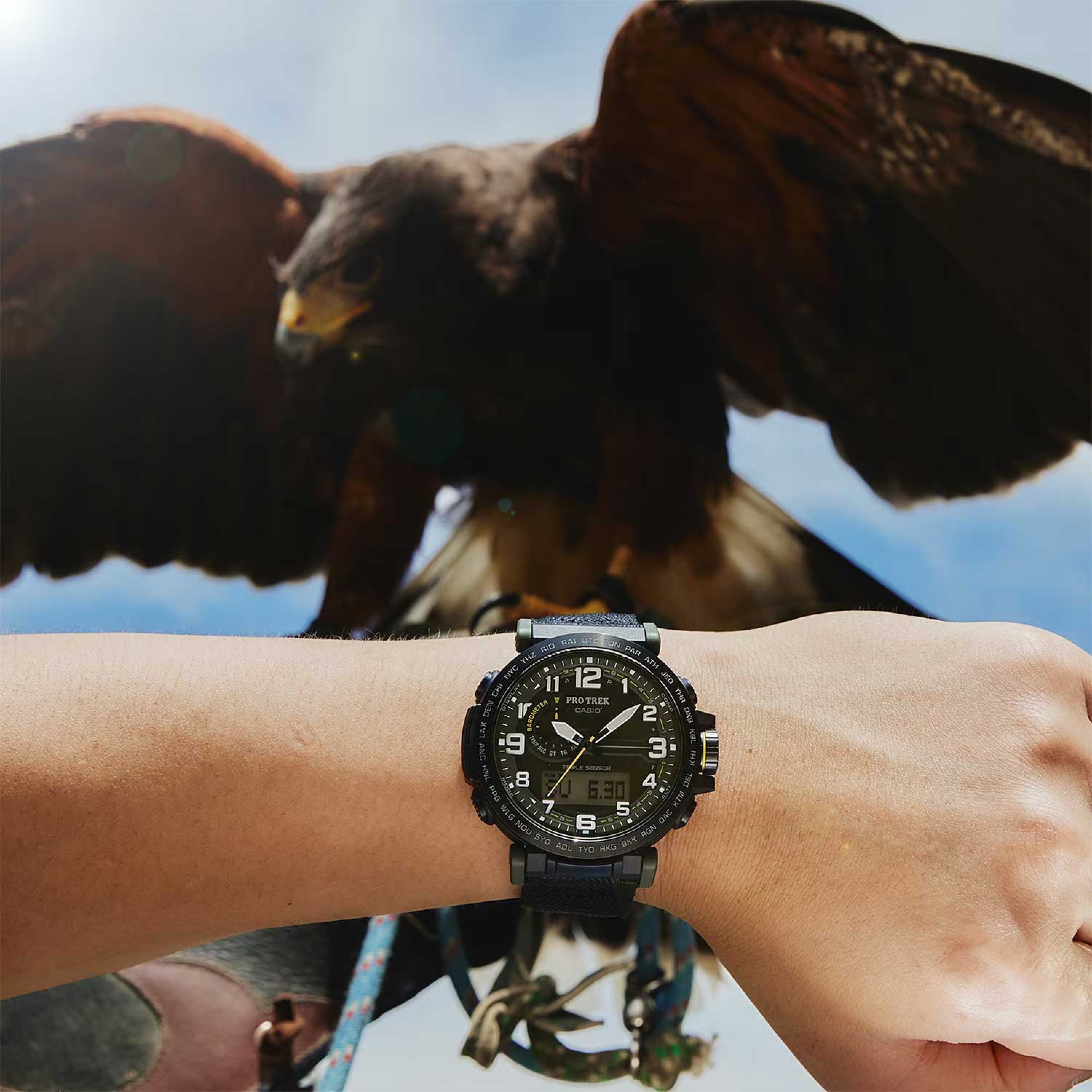 CASIO    PRO TREK PRG-601YB-3 - фото 4